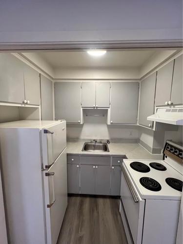 1 bedroom apartment for rent in Montreal - Rosemont–La Petite-Patrie — photo 4