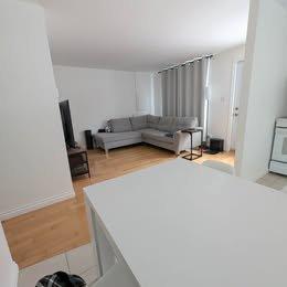 2 bedrooms apartment for rent in Lévis — photo 9
