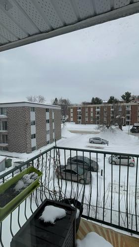 2 bedrooms apartment for rent in Sherbrooke — photo 9