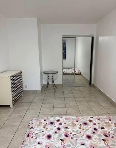 1 bedroom apartment for rent in Montreal - Villeray–Saint-Michel–Parc-Extension — photo 7