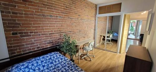 1 bedroom apartment for rent in Montreal - Le Plateau-Mont-Royal — photo 2
