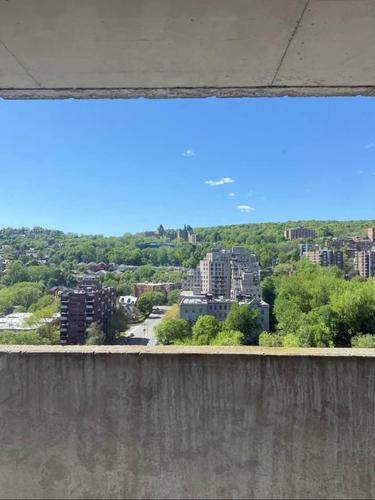 Appartement de 2 chambres à louer à Montreal - Ville-Marie — photo 5