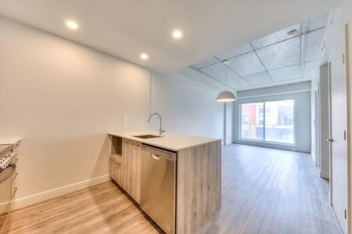 Appartement de 1 chambre à louer à Montreal - Saint-Laurent — photo 4