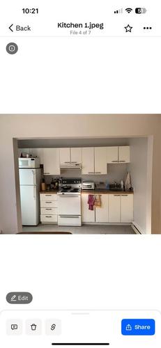 2 bedrooms apartment for rent in Montreal - Le Plateau-Mont-Royal — photo 5