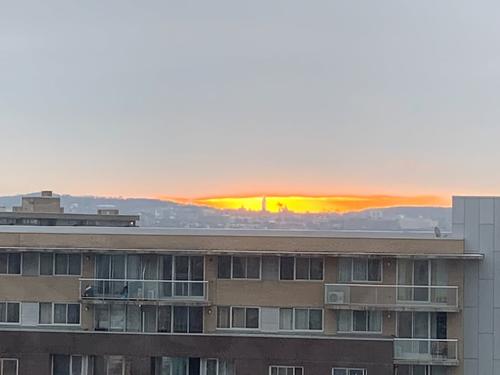 Appartement de 1 chambre à louer à Montreal - Saint-Laurent — photo 13