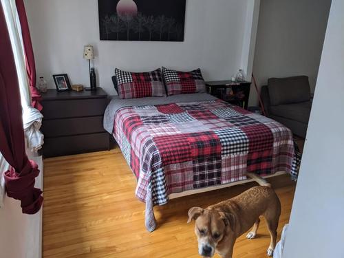 1 bedroom apartment for rent in Montreal - Villeray–Saint-Michel–Parc-Extension — photo 3