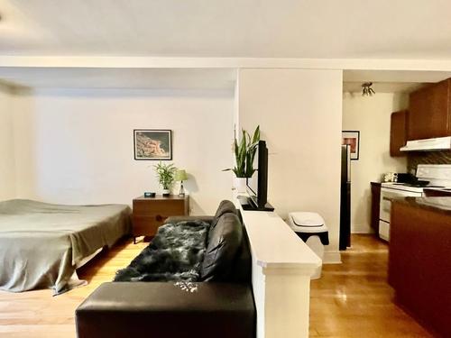 1 bedroom apartment for rent in Montreal - Le Plateau-Mont-Royal — photo 9