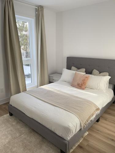 Appartement de 1 chambre à louer à Montreal - Le Plateau-Mont-Royal — photo 9