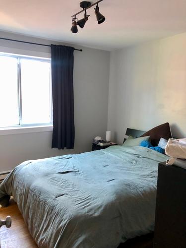 Appartement de 1 chambre à louer à Longueuil — photo 12