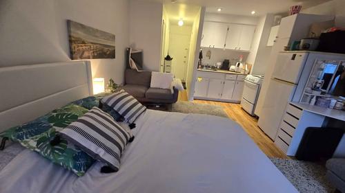 Studio for rent in Montreal - Le Plateau-Mont-Royal — photo 6