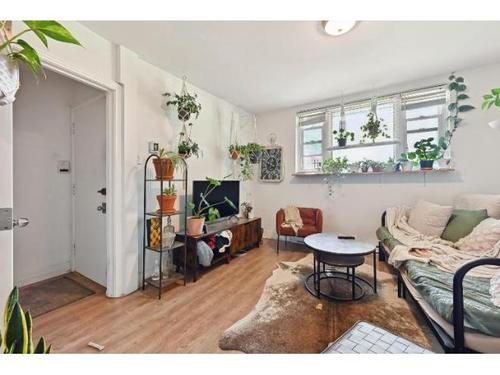 Studio à louer à Montreal - Rosemont–La Petite-Patrie — photo 4