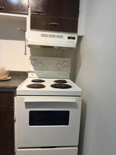 Studio à louer à Montreal - Le Plateau-Mont-Royal — photo 2