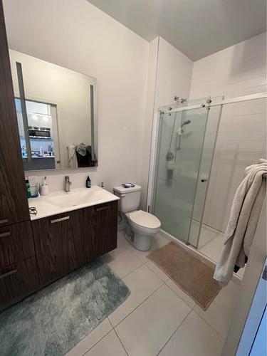 1 bedroom apartment for rent in Laval — photo 6