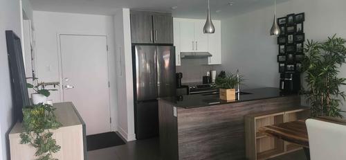 Appartement de 1 chambre à louer à Laval — photo 3
