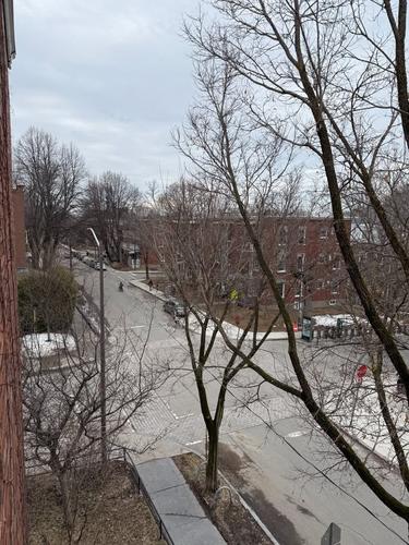 3 bedrooms apartment for rent in Québec - La Cité-Limoilou — photo 4