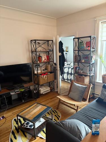 4 bedrooms apartment for rent in Montreal - Le Plateau-Mont-Royal — photo 11