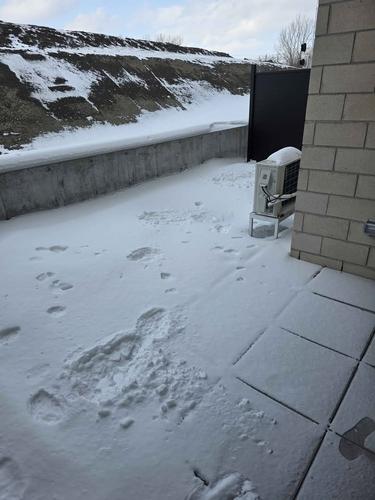 1 bedroom apartment for rent in Montreal - Rivière-des-Prairies–Pointe-aux-Trembles — photo 30