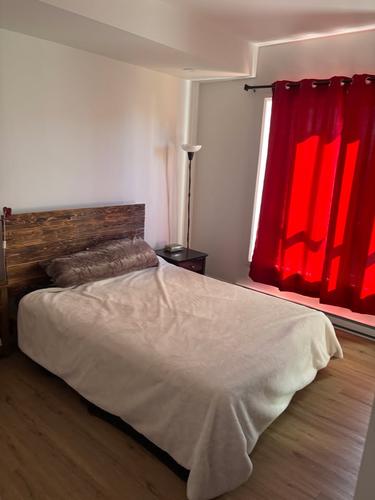 Appartement de 2 chambres à louer à Québec - La Cité-Limoilou — photo 6