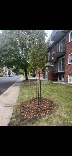 2 bedrooms apartment for rent in Laval — photo 3