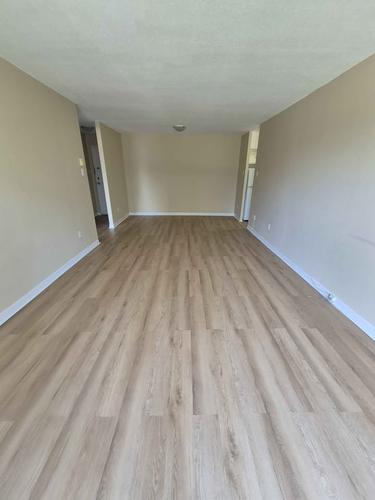 1 bedroom apartment for rent in Gatineau — photo 5