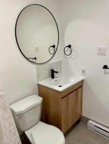 1 bedroom apartment for rent in Montreal - Rosemont–La Petite-Patrie — photo 7