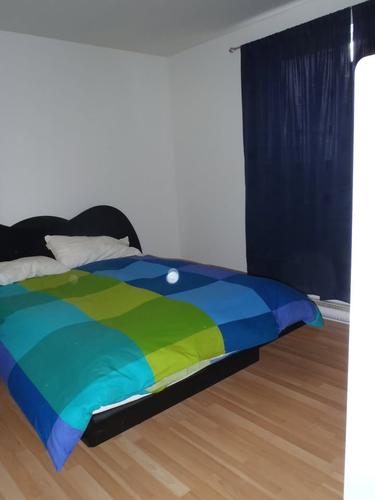 1 bedroom apartment for rent in Longueuil — photo 6