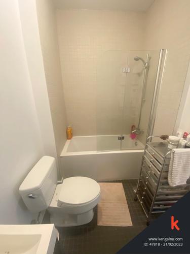 1 bedroom apartment for rent in Montreal - Le Plateau-Mont-Royal — photo 11