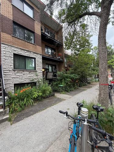 1 bedroom apartment for rent in Montreal - Le Plateau-Mont-Royal — photo 26