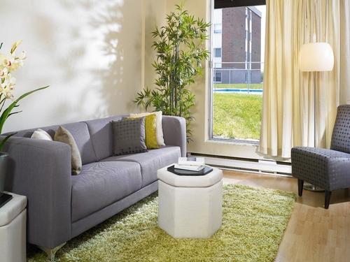 Appartement de 3 chambres à louer à Québec - La Cité-Limoilou — photo 5