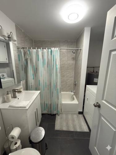1 bedroom apartment for rent in Montreal - Le Plateau-Mont-Royal — photo 5