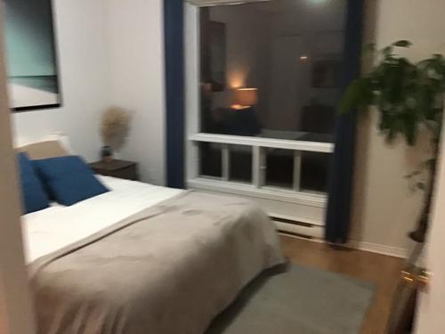 Appartement de 2 chambres à louer à Sherbrooke — photo 3
