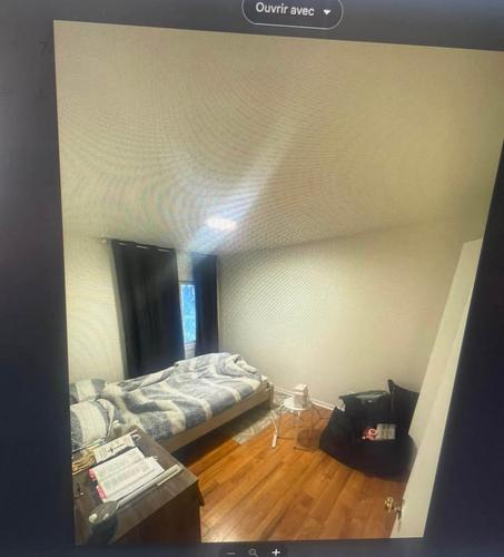 Appartement de 2 chambres à louer à Québec - La Cité-Limoilou — photo 4