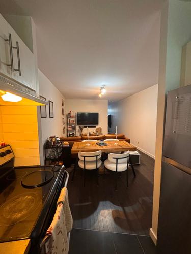 1 bedroom apartment for rent in Montreal - Le Plateau-Mont-Royal — photo 6