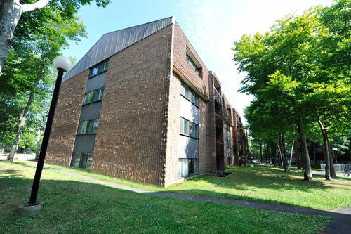 2 bedrooms apartment for rent in Lévis — photo 11