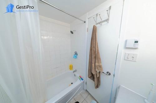 Studio for rent in Québec - Sainte-Foy–Sillery–Cap-Rouge — photo 5