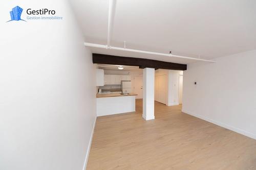 1 bedroom apartment for rent in Québec - La Cité-Limoilou — photo 6