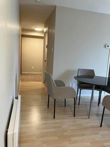 1 bedroom apartment for rent in Montreal - Rosemont–La Petite-Patrie — photo 3