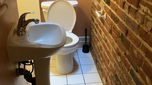 Studio for rent in Montreal - Le Plateau-Mont-Royal — photo 3
