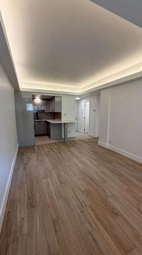 1 bedroom apartment for rent in Montreal - Saint-Laurent — photo 4