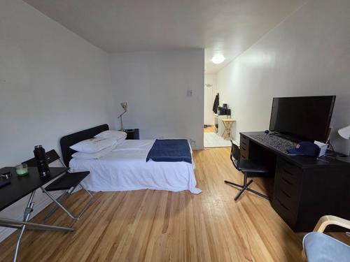 Appartement de 1 chambre à louer à Montreal - Le Plateau-Mont-Royal — photo 3