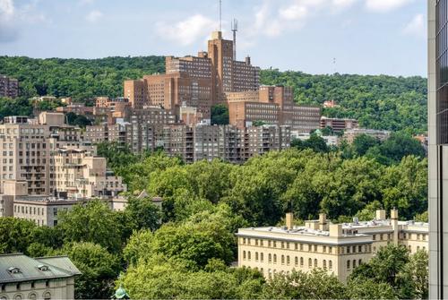 Appartement de 2 chambres à louer à Montréal — photo 14