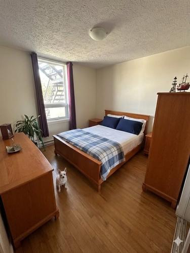 Appartement de 1 chambre à louer à Sherbrooke — photo 2