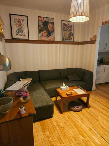 Appartement de 2 chambres à louer à Montreal - Rosemont–La Petite-Patrie — photo 18