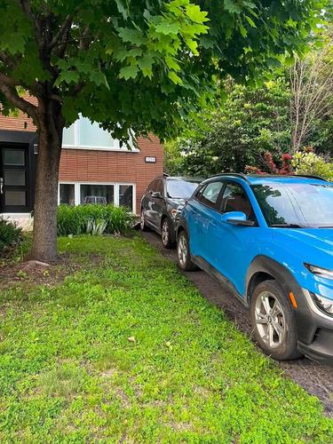 1 bedroom apartment for rent in Longueuil — photo 13