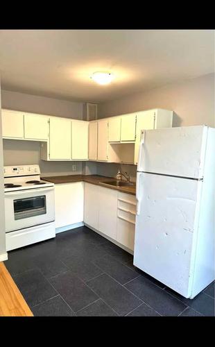 Appartement de 2 chambres à louer à Montreal - Le Plateau-Mont-Royal — photo 3
