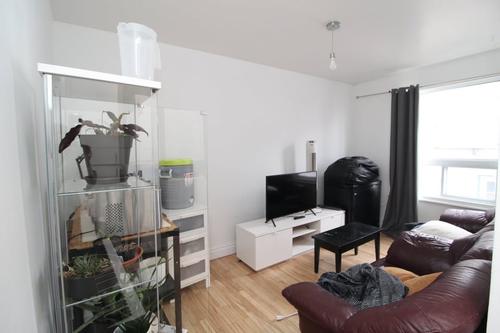 1 bedroom apartment for rent in Québec - La Cité-Limoilou — photo 2