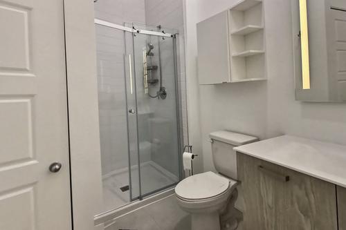 1 bedroom apartment for rent in Laval — photo 4