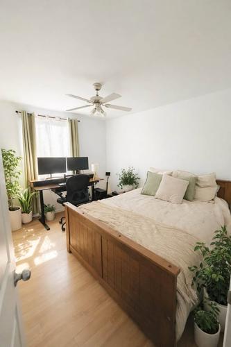 Appartement de 2 chambres à louer à Québec - La Cité-Limoilou — photo 5