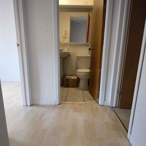 Appartement de 2 chambres à louer à Québec - La Cité-Limoilou — photo 9