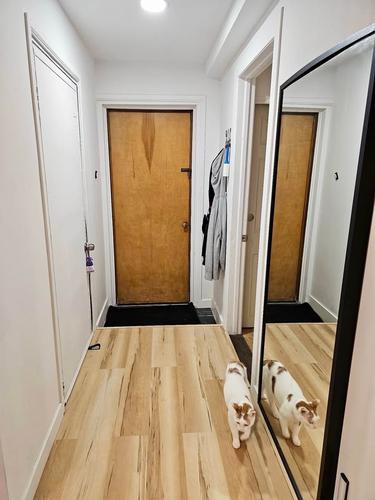 Appartement de 2 chambres à louer à Montreal - Rosemont–La Petite-Patrie — photo 10